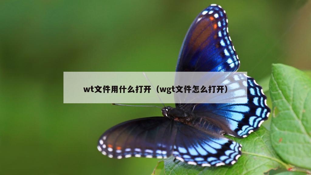 wt文件用什么打开（wgt文件怎么打开）