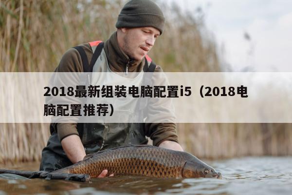 2018最新组装电脑配置i5（2018电脑配置推荐）