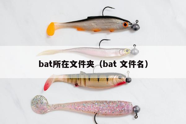 bat所在文件夹（bat 文件名）