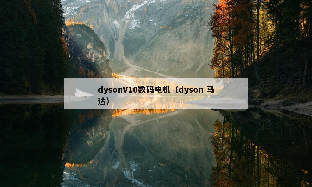 dysonV10数码电机（dyson 马达）