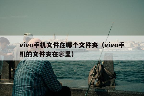 vivo手机文件在哪个文件夹（vivo手机的文件夹在哪里）