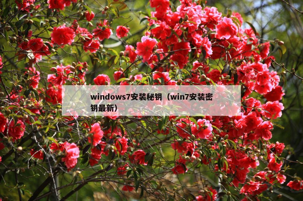 windows7安装秘钥（win7安装密钥最新）