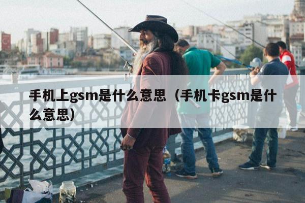 手机上gsm是什么意思（手机卡gsm是什么意思）