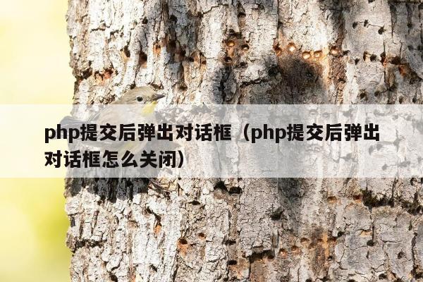 php提交后弹出对话框（php提交后弹出对话框怎么关闭）