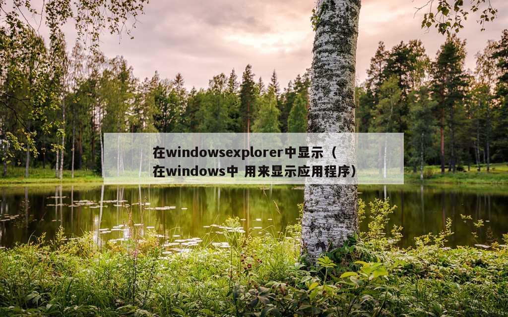 在windowsexplorer中显示（在windows中 用来显示应用程序）