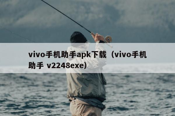 vivo手机助手apk下载（vivo手机助手 v2248exe）