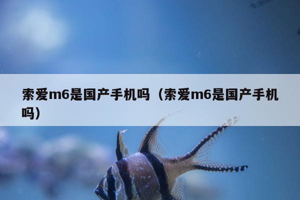 索爱m6是国产手机吗（索爱m6是国产手机吗）