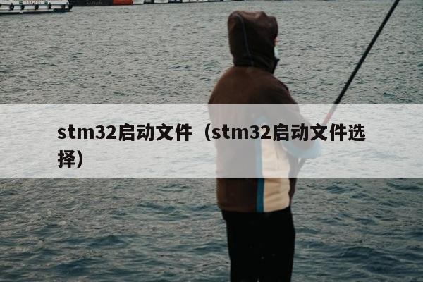 stm32启动文件（stm32启动文件选择）