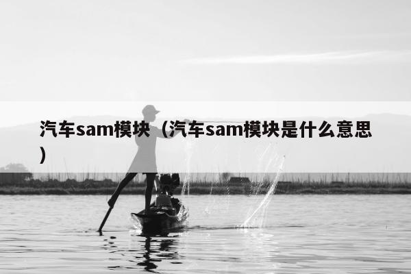 汽车sam模块（汽车sam模块是什么意思）