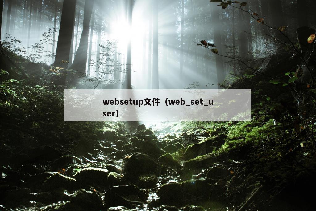 websetup文件（web_set_user）