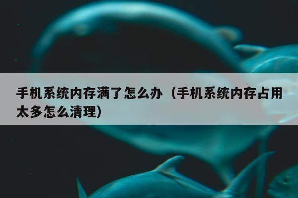 手机系统内存满了怎么办（手机系统内存占用太多怎么清理）