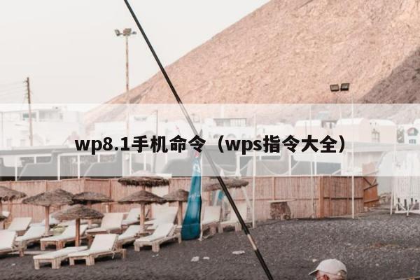 wp8.1手机命令（wps指令大全）