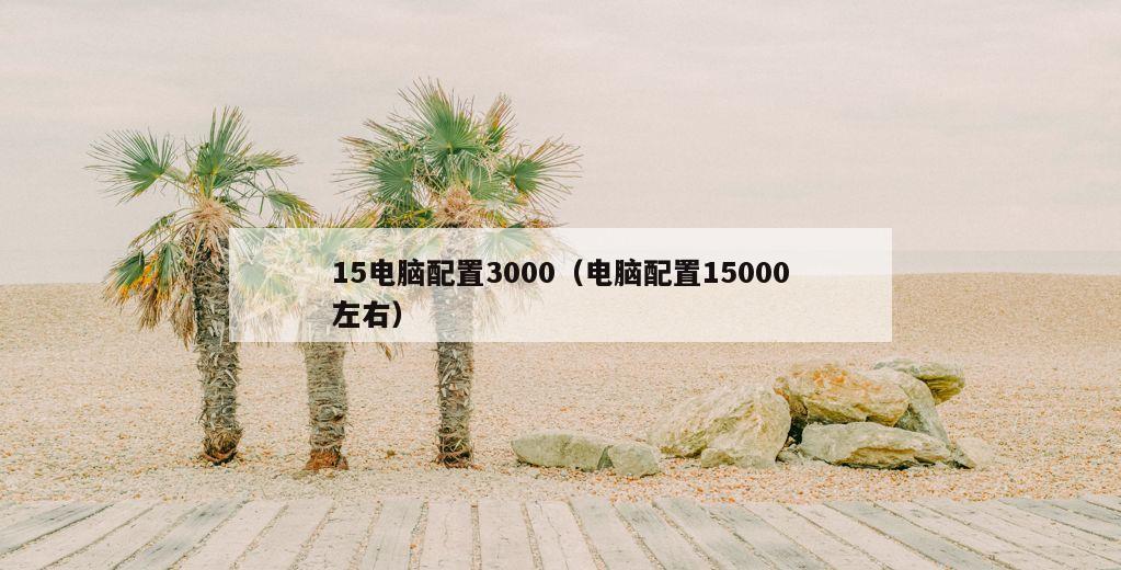 15电脑配置3000（电脑配置15000左右）