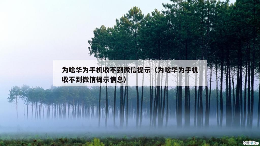 为啥华为手机收不到微信提示（为啥华为手机收不到微信提示信息）