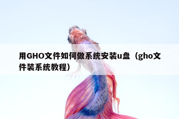 用GHO文件如何做系统安装u盘（gho文件装系统教程）