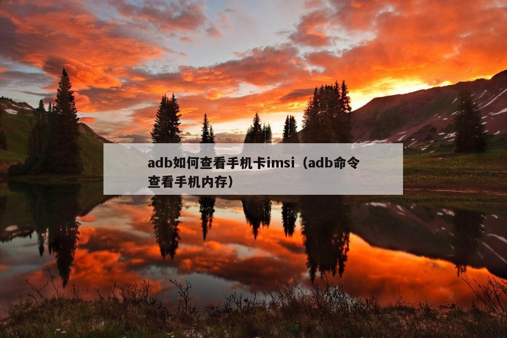 adb如何查看手机卡imsi（adb命令查看手机内存）