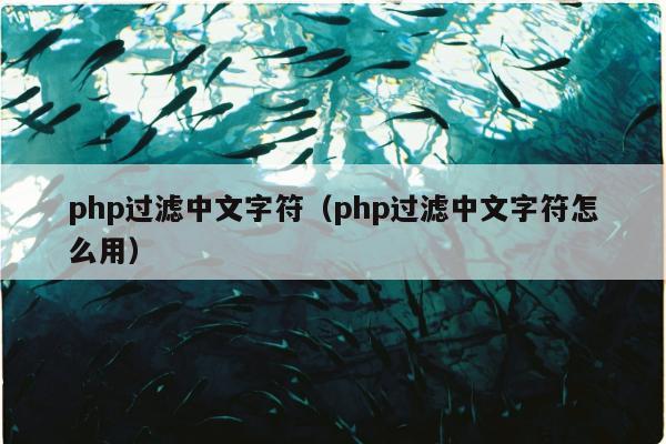 php过滤中文字符（php过滤中文字符怎么用）