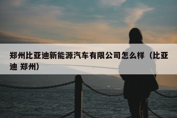 郑州比亚迪新能源汽车有限公司怎么样（比亚迪 郑州）