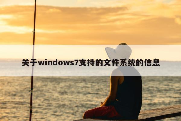 关于windows7支持的文件系统的信息