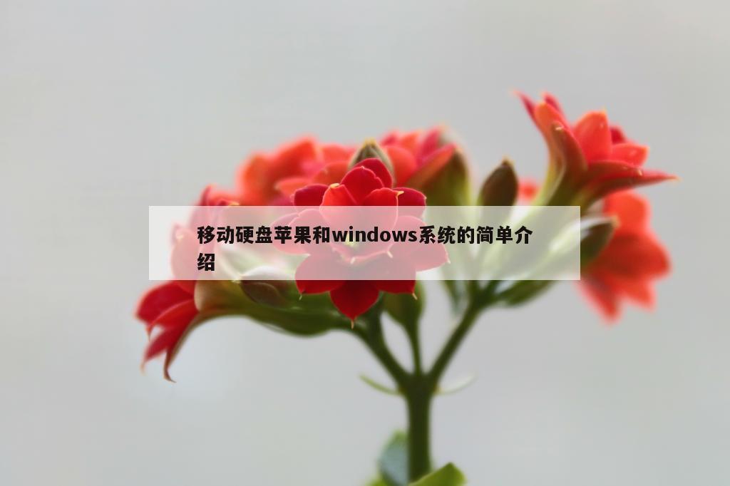 移动硬盘苹果和windows系统的简单介绍