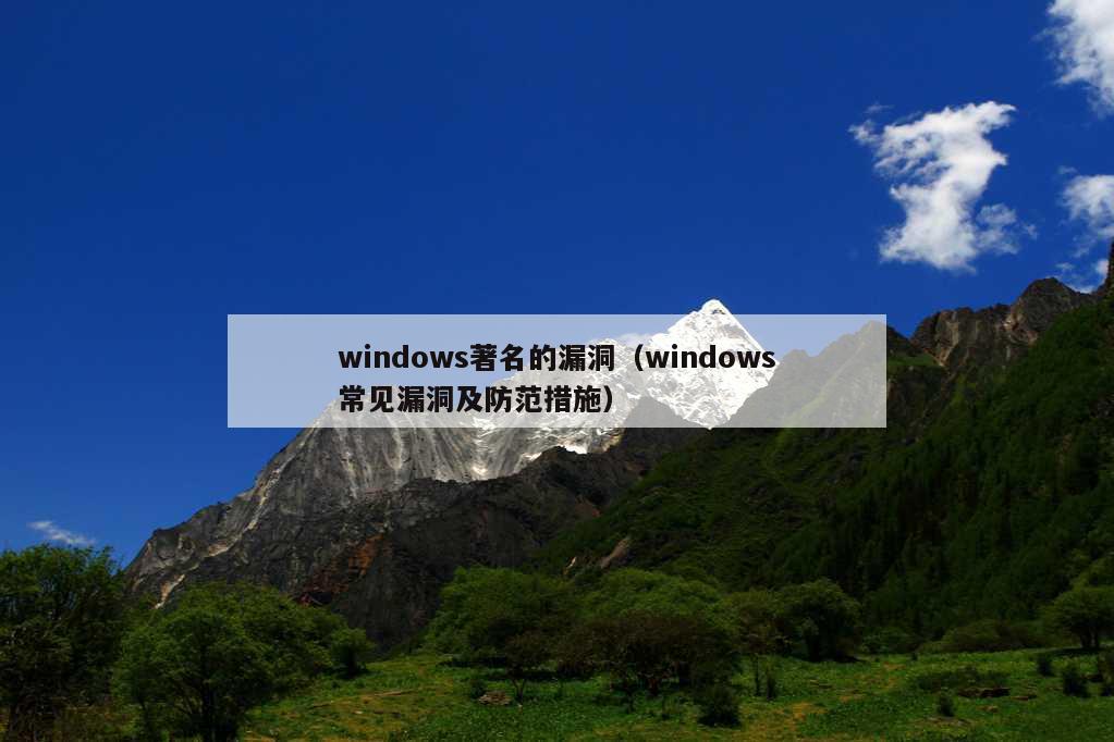 windows著名的漏洞（windows常见漏洞及防范措施）