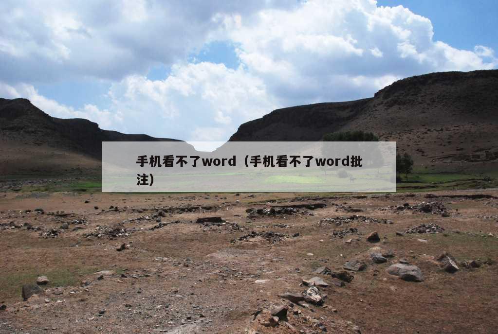 手机看不了word（手机看不了word批注）