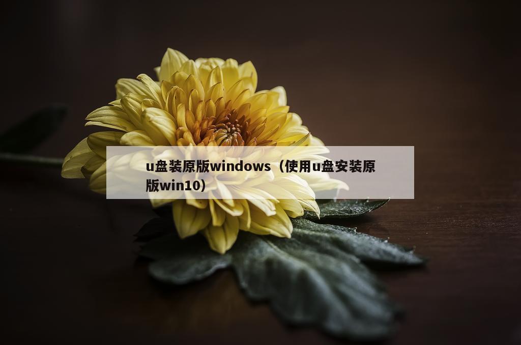 u盘装原版windows（使用u盘安装原版win10）