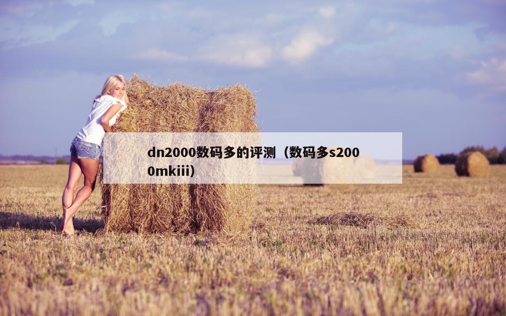 dn2000数码多的评测（数码多s2000mkiii）