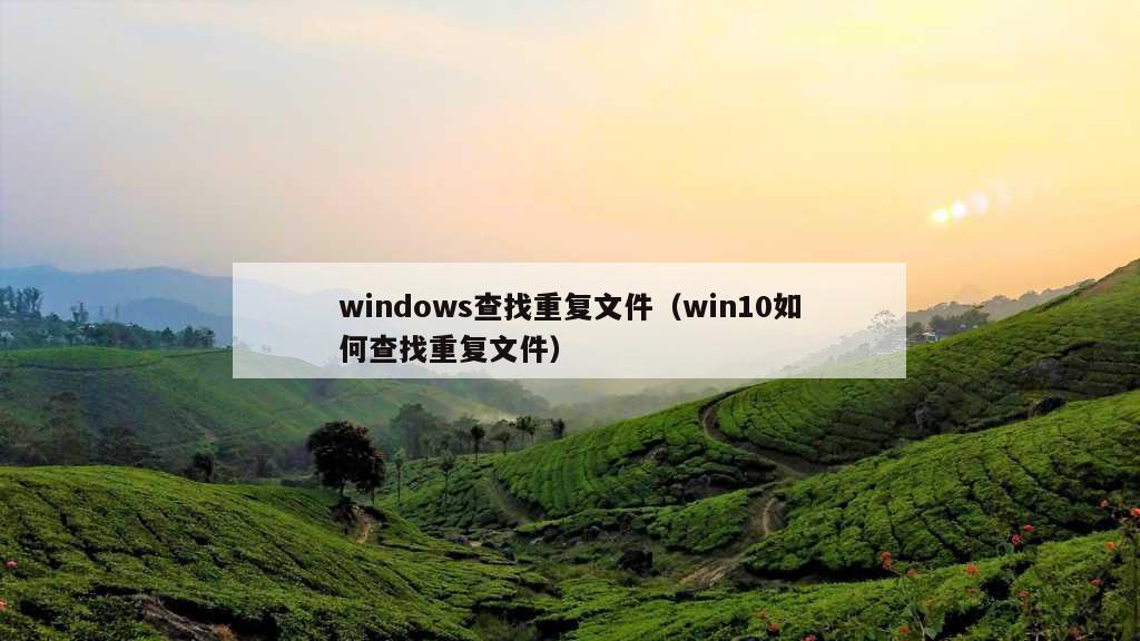 windows查找重复文件（win10如何查找重复文件）