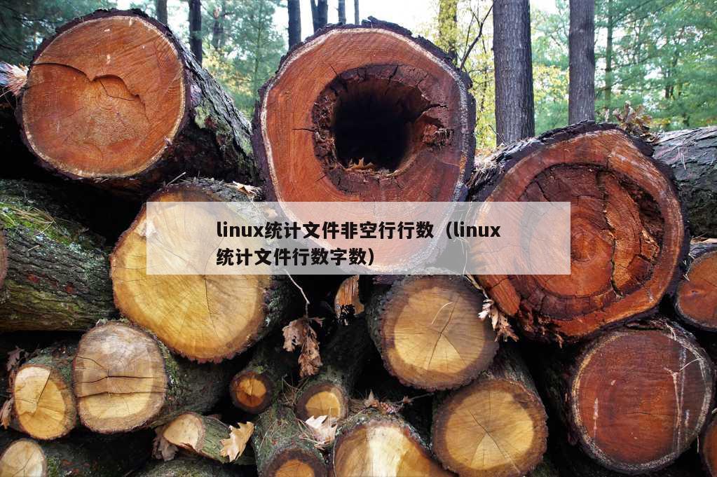 linux统计文件非空行行数（linux统计文件行数字数）