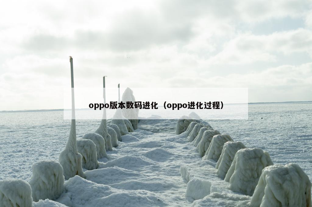 oppo版本数码进化（oppo进化过程）