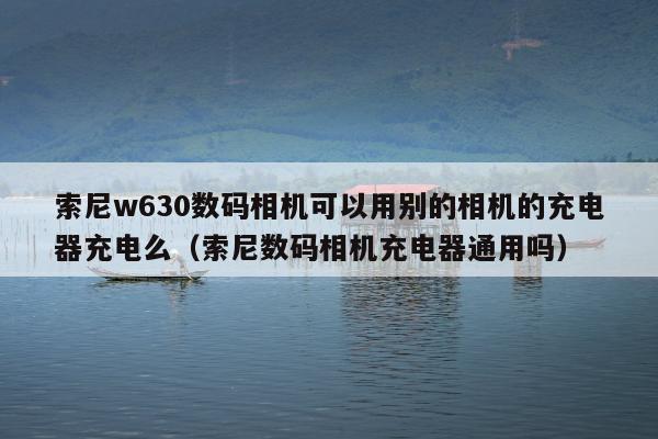 索尼w630数码相机可以用别的相机的充电器充电么（索尼数码相机充电器通用吗）