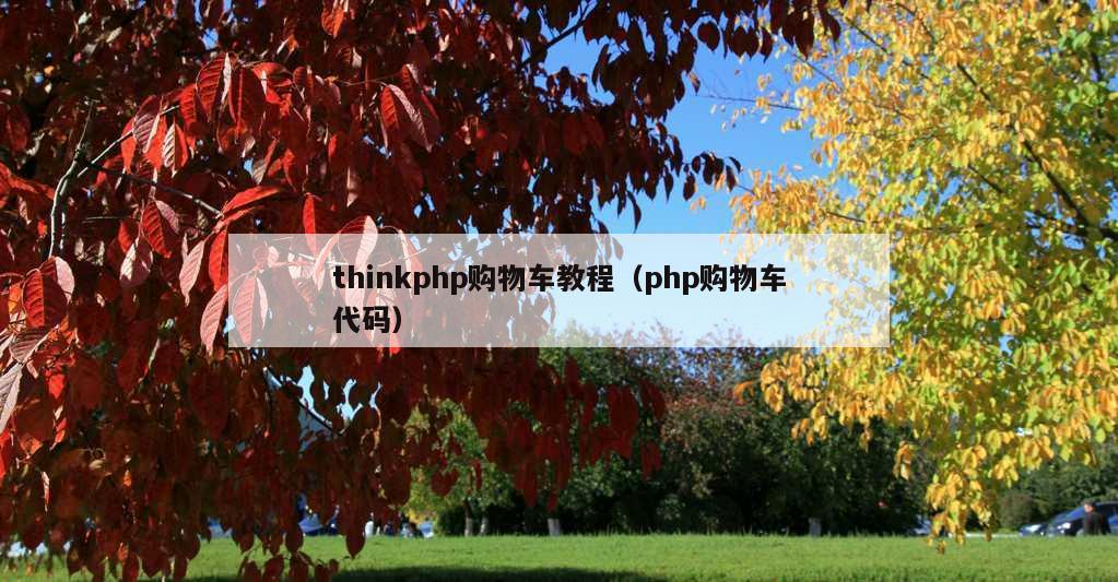 thinkphp购物车教程（php购物车代码）