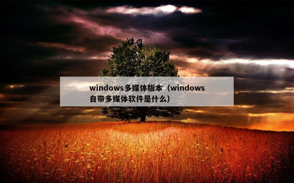 windows多媒体版本（windows自带多媒体软件是什么）