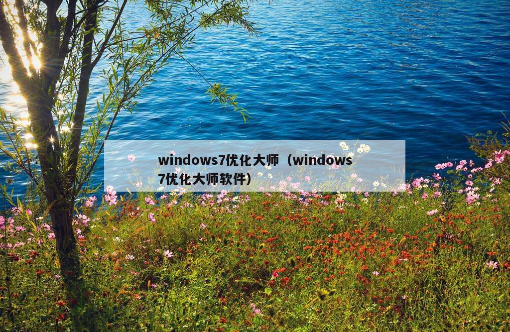 windows7优化大师（windows7优化大师软件）