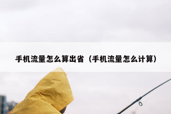 手机流量怎么算出省（手机流量怎么计算）