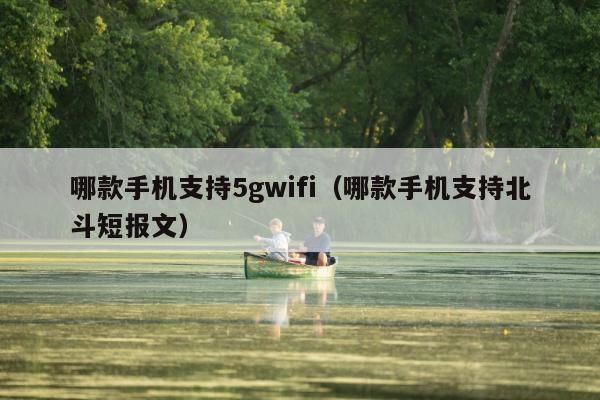 哪款手机支持5gwifi（哪款手机支持北斗短报文）