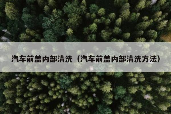 汽车前盖内部清洗（汽车前盖内部清洗方法）