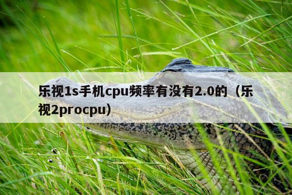 乐视1s手机cpu频率有没有2.0的（乐视2procpu）