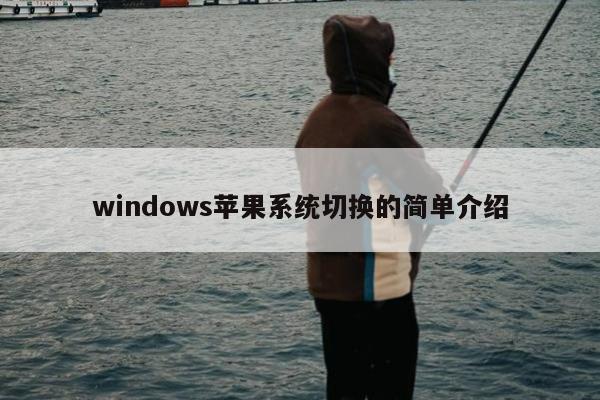 windows苹果系统切换的简单介绍