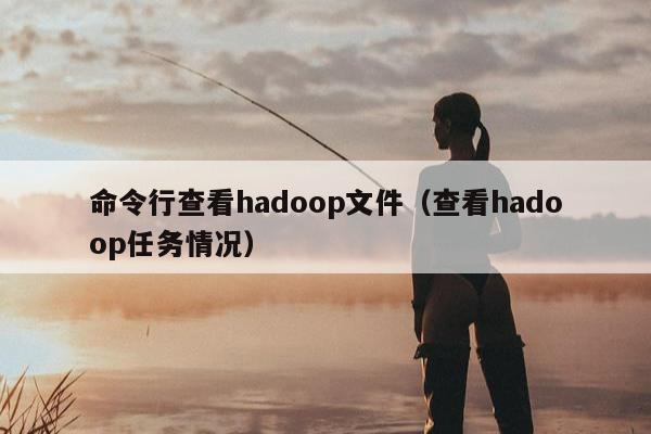 命令行查看hadoop文件（查看hadoop任务情况）