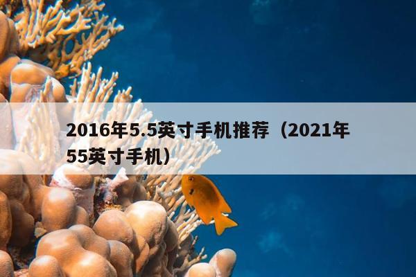 2016年5.5英寸手机推荐（2021年55英寸手机）