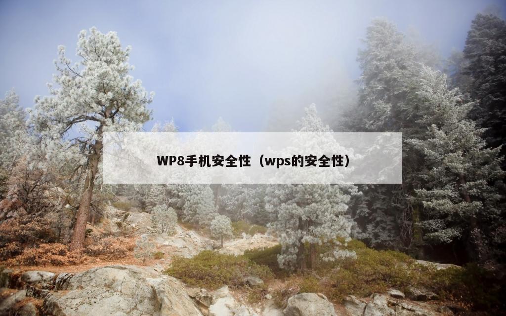 WP8手机安全性（wps的安全性）