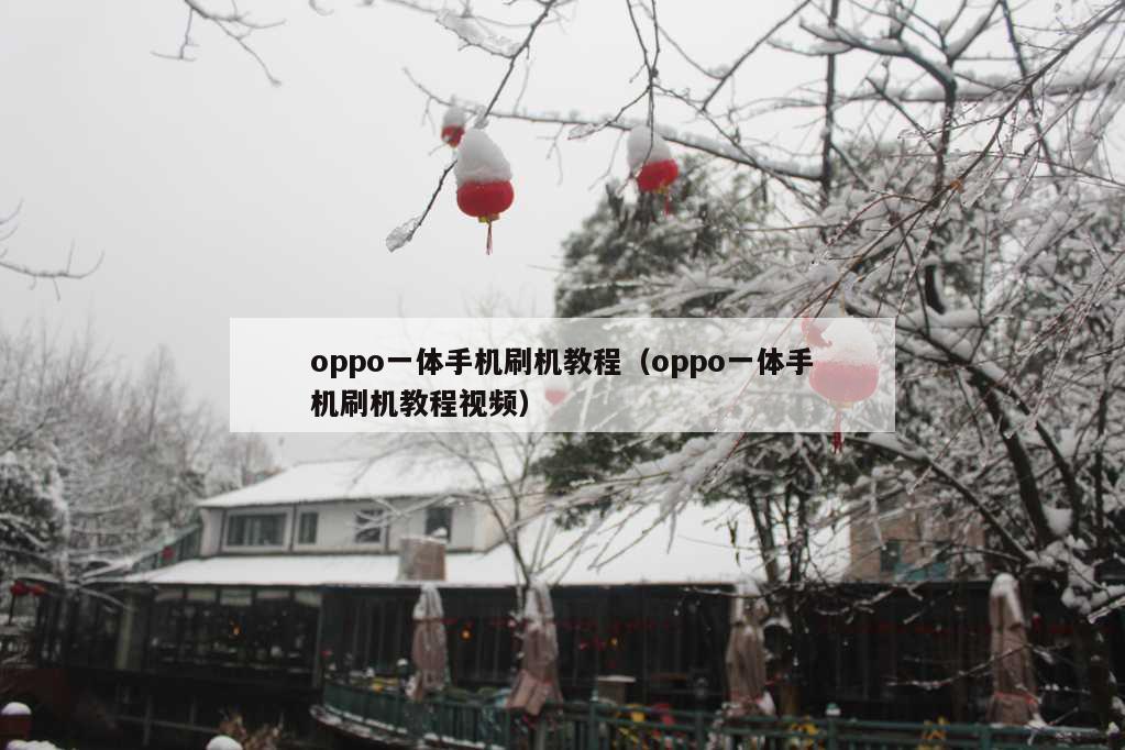 oppo一体手机刷机教程（oppo一体手机刷机教程视频）