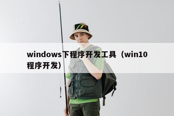 windows下程序开发工具（win10程序开发）