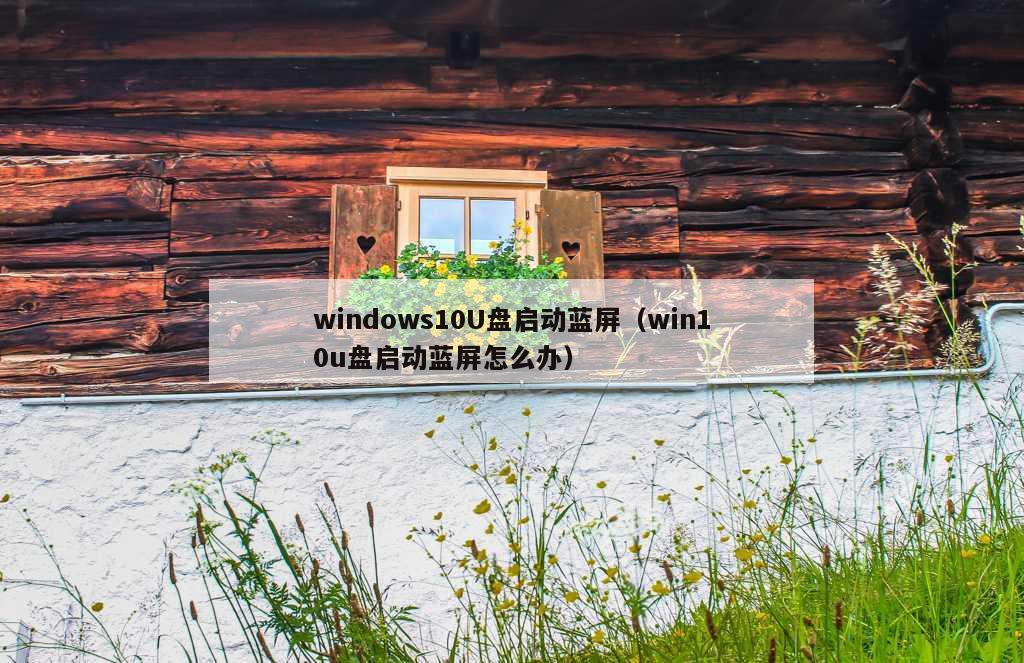 windows10U盘启动蓝屏（win10u盘启动蓝屏怎么办）