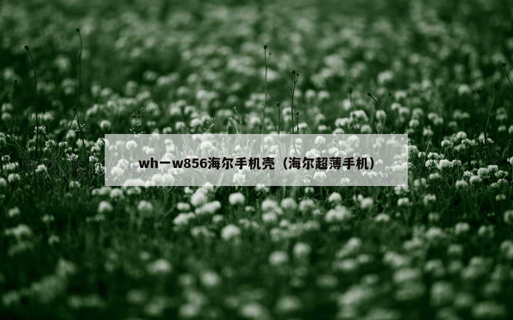 wh一w856海尔手机壳（海尔超薄手机）