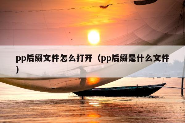 pp后缀文件怎么打开（pp后缀是什么文件）