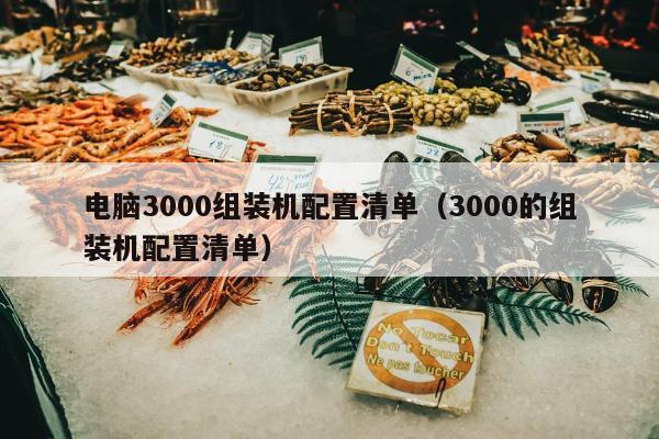 电脑3000组装机配置清单（3000的组装机配置清单）