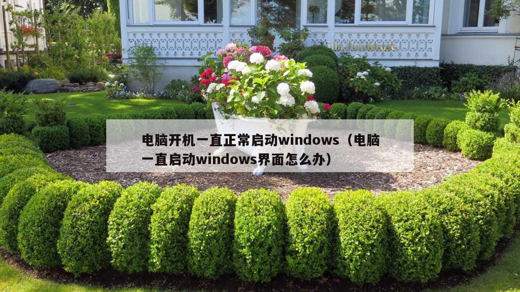 电脑开机一直正常启动windows（电脑一直启动windows界面怎么办）